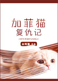 加菲猫复仇记